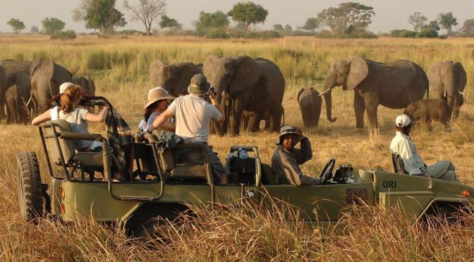 Unspoiled Wilderness of Botswana