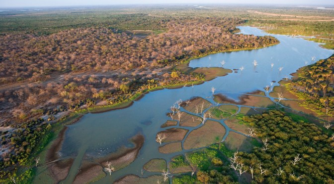 ON TOUR WITH FALCON SAFARIS IN CHOBE AND THE OKAVANGO DELTA
