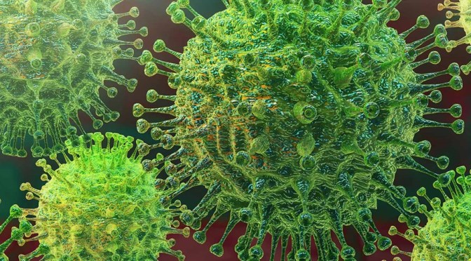 SPECIAL TERMS AND CONDITIONS DUE TO THE GLOBAL OUTBREAK OF COVID-19