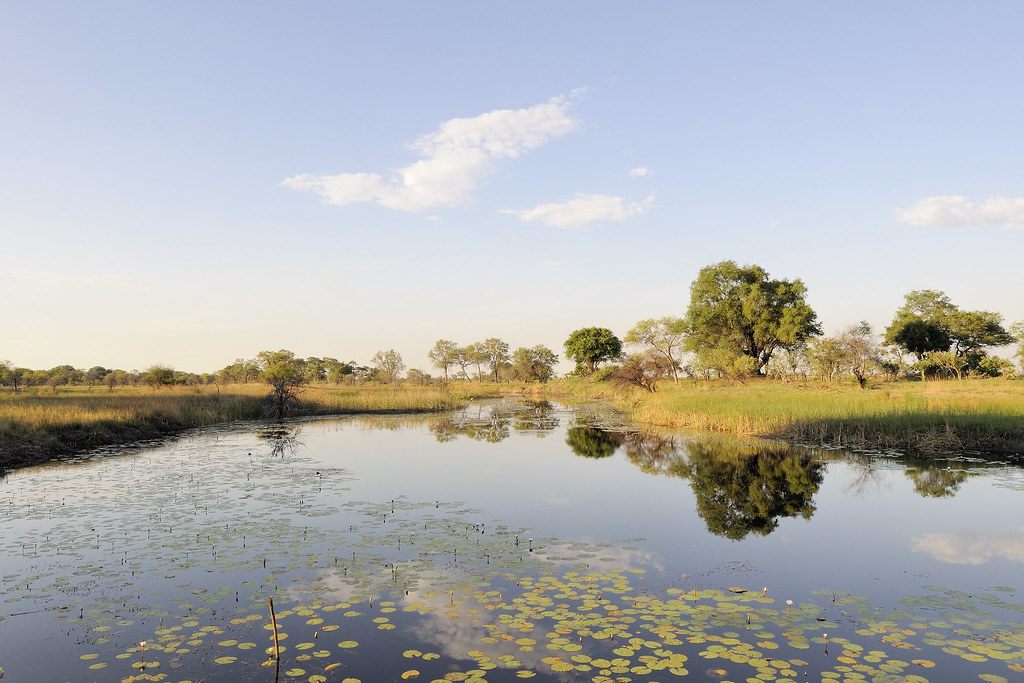 Image result for nkasa rupara national park