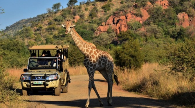 Travel Pilansberg (South Africa) – Top Tourist Attractions in Pilansberg, Pilansberg Facts & Top Travel Information